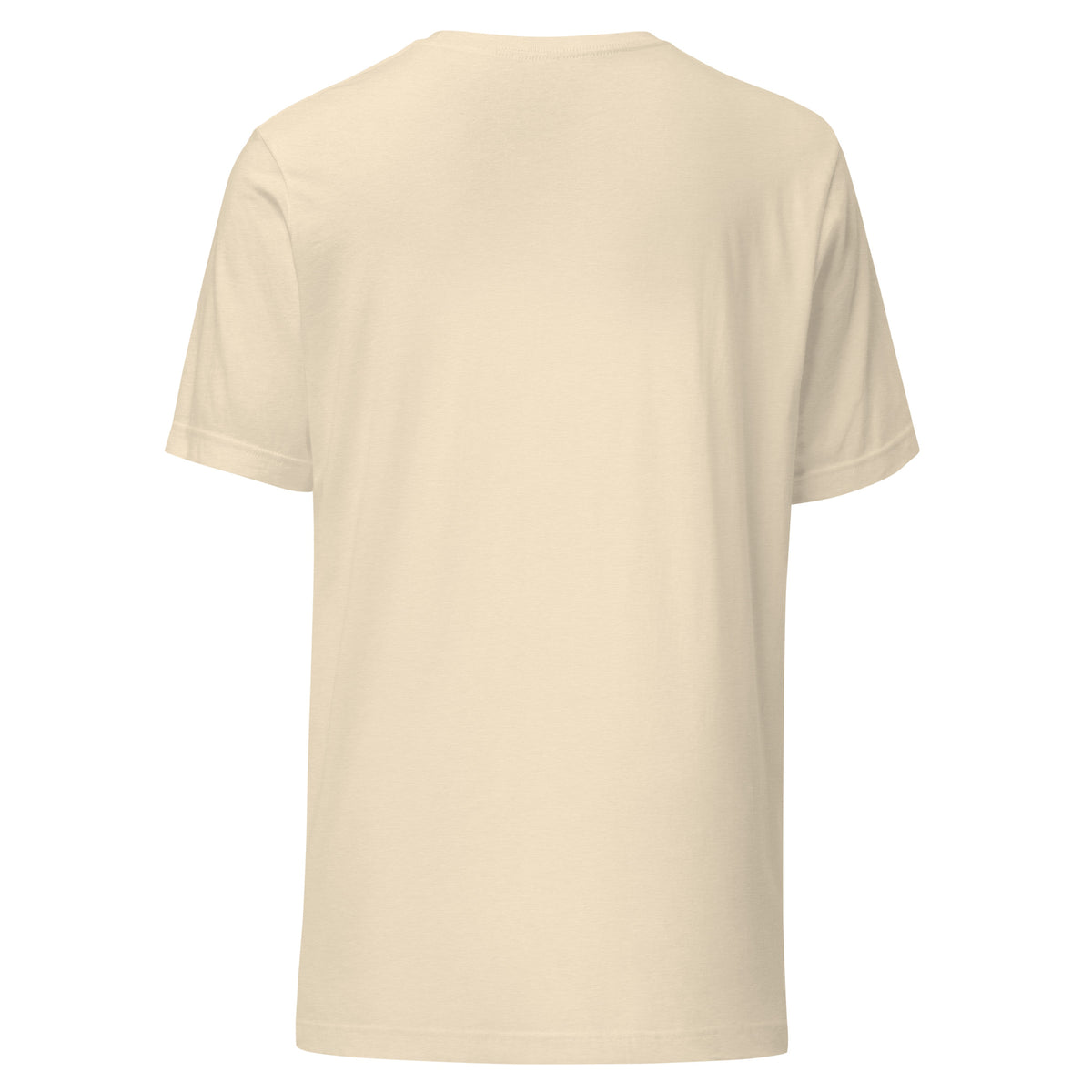 Alumni Uniform Varsity tee in Heather Natural, back view