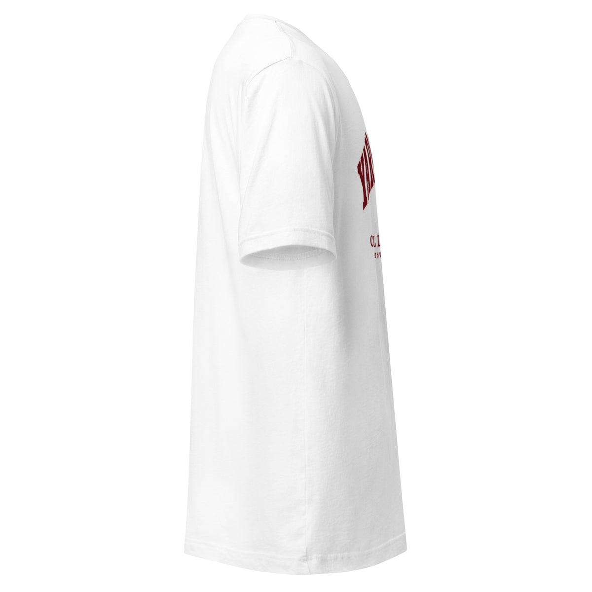 Collegiate Goods tee in White, right side